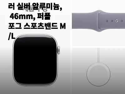 애플워치 11 셀룰러 실버 알루미늄  관련 이미지
