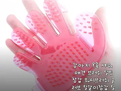 강아지 목욕 샤워 애견 브러쉬 250 관련 이미지 1